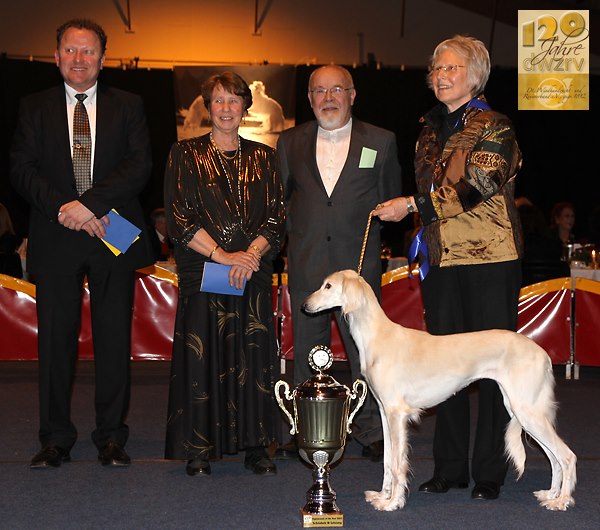 CH Dakira Sawahin Sighthound of the Year 2012 Category Beauty+Performance, Foto: Barbara Thiel